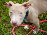 CROUTON - Photo 1
