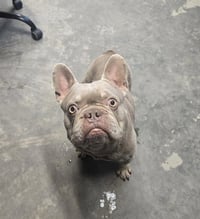 ROCKY - Photo 1