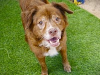 MARLEY JANE - Photo 1