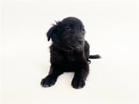 NORA - Photo 1