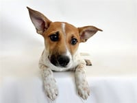 SABRE - Photo 1