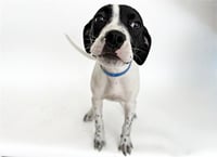 MERVIN - Photo 1