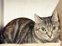 LUNA - Photo 1