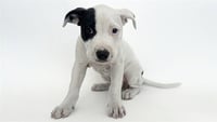 ETHEL - Photo 1