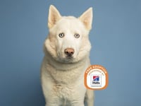 ARCTIC - Photo 1