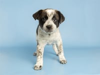 BETSY - Photo 1