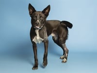 KUZCO - Photo 1
