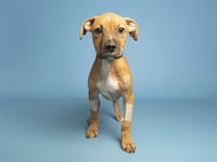 KUZCO - Photo 1