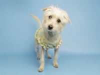 MABEL - Photo 1