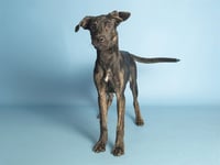 KYLA - Photo 1