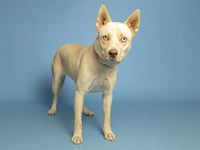 BELLA - Photo 1