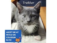 TREKKER - Photo 1