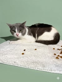 ZEUS - Photo 1
