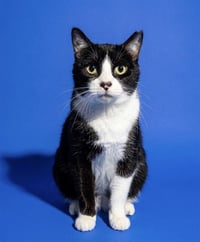 RIGBY - Photo 1