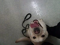 BIBBLE - Photo 1