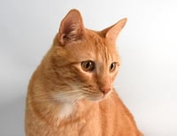 FYNN - Photo 1