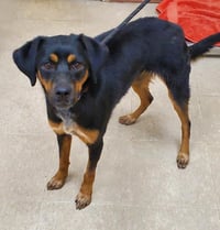 ZAYDA - Photo 1