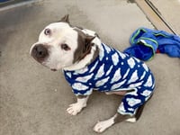 MR. BEEFY - Photo 1