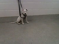 HAYES - Photo 1