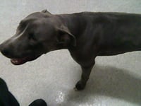 MR. MINA - Photo 1