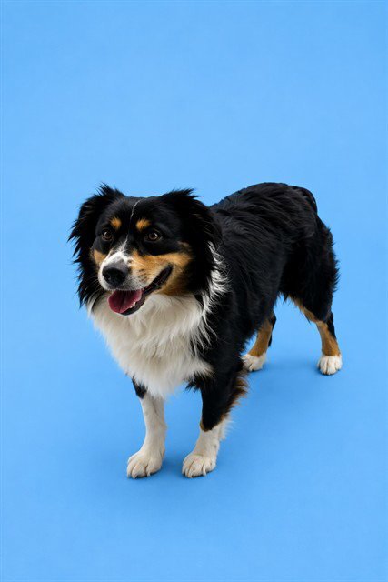 OSO Image