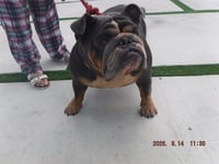 BELLA - Photo 1