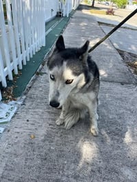 BELLA - Photo 1