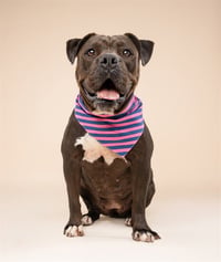 COCOA - Photo 1