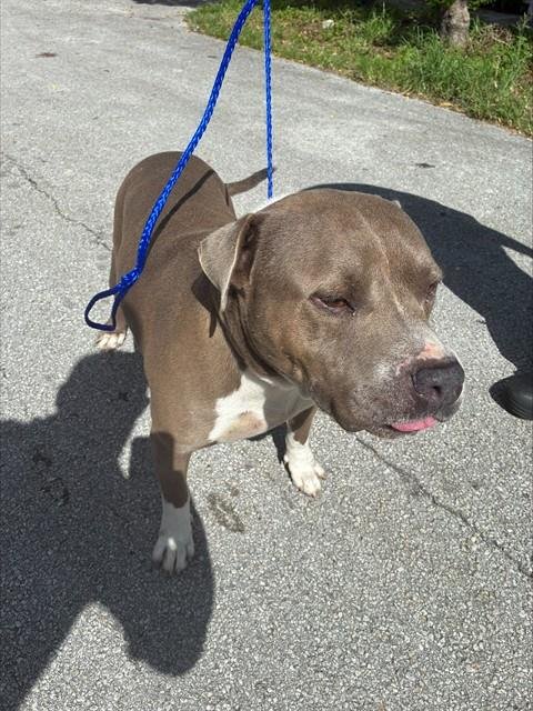 BENNY Image