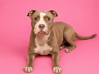 MISSY - Photo 1