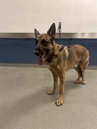 ZEUS - Photo 1