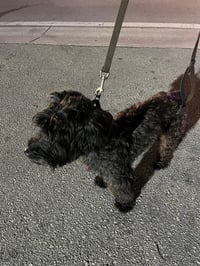 DOC - Photo 1
