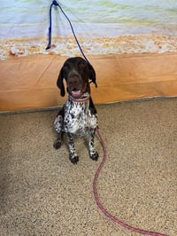 DAISY - Photo 1