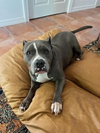 JAYLA - Photo 1