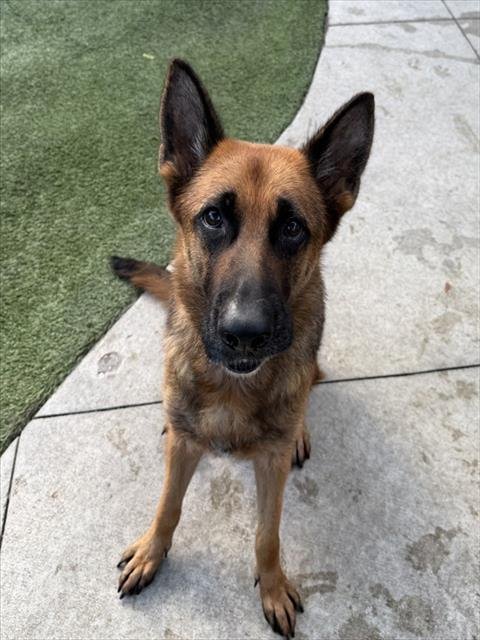 NALA Image