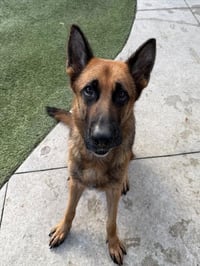 NALA - Photo 1