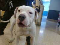 OPIE - Photo 1