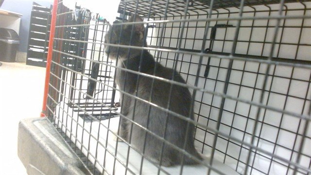 TED FURRY Image