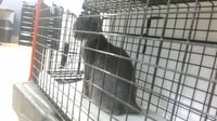 TED FURRY - Photo 1