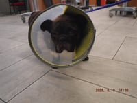 ROLO - Photo 1