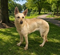 ISABELLA - Photo 1