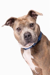 SANDY - Photo 1