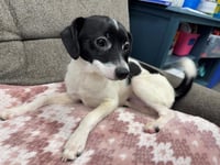 MAYDAY PARADE - Photo 1