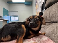 ALL TIME LOW - Photo 1