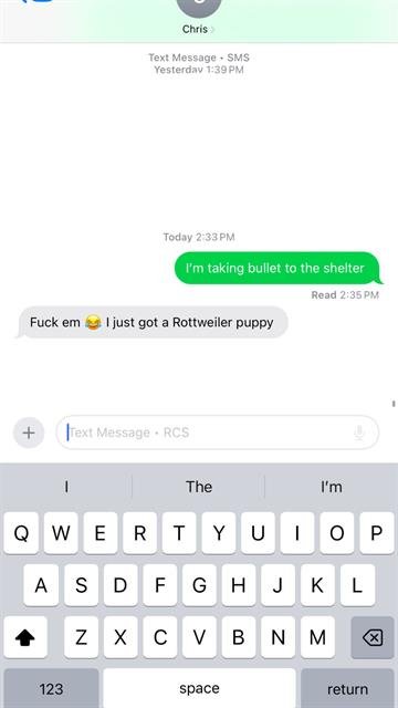 BULLET - Husky / Pit Bull Terrier available for adoption