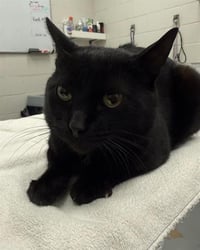 MCCHARMLESS - Photo 1