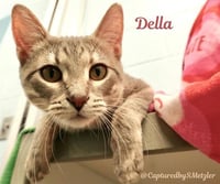 DELLA - Photo 1