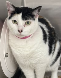 KIKI - Photo 1