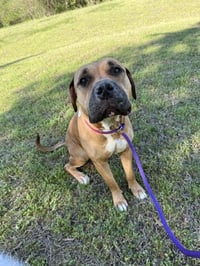*NALA - Photo 1