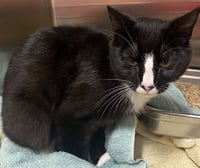 *NEW YORK - Photo 1